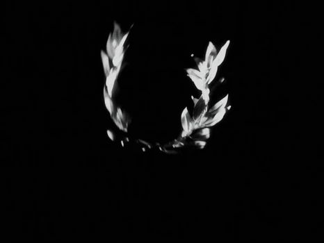 Still frame 37 from anastymoza - Vidnosnist (2025) directed by Anna Vasilyeva