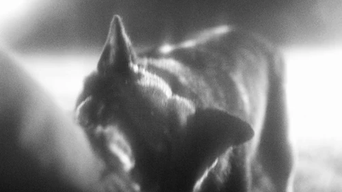 Still frame 76 from Apparat - Heroist (2019) directed by MATILDA FINN