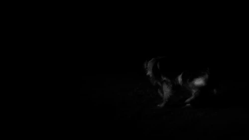 Still frame 83 from Apparat - Heroist (2019) directed by MATILDA FINN