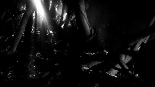 Still frame 41 from Apparat - Heroist (2019) directed by MATILDA FINN