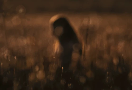 Still frame 67 from BAD OMENS - Left For Good (2025) directed by Nico & Noah