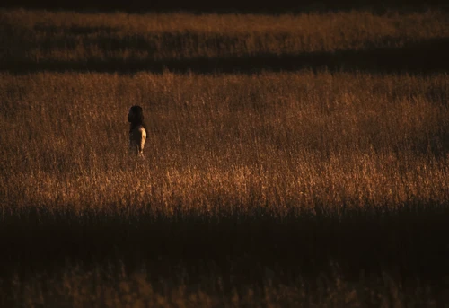 Still frame 79 from BAD OMENS - Left For Good (2025) directed by Nico & Noah