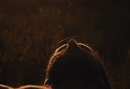 Still frame 85 from BAD OMENS - Left For Good (2025) directed by Nico & Noah