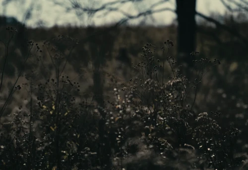 Still frame 15 from BAD OMENS - Left For Good (2025) directed by Nico & Noah