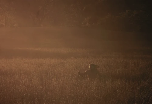 Still frame 30 from BAD OMENS - Left For Good (2025) directed by Nico & Noah