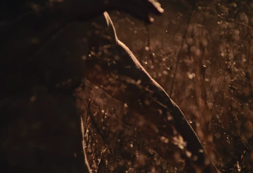 Still frame 33 from BAD OMENS - Left For Good (2025) directed by Nico & Noah