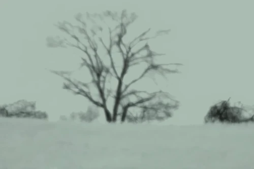 Still frame 50 from BAD OMENS - Specter (2025) directed by Noah Sebastian