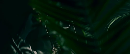 Still frame 23 from Black Soil - Ha Lo' (2025) directed by Bogdan Bunevych