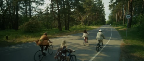 Still frame 10 from Electrobirds - Lystivky (2025) directed by Mary Norets