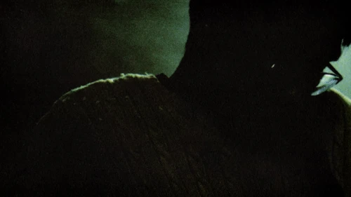 Still frame 26 from Flawed Mangoes - Surreal (2025) directed by Justin Kaminuma
