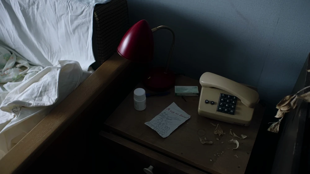 Still frame 3 from IC3PEAK — Gde Moy Dom? (2025) directed by Anastasia Kreslina, Nikolay Kostylev