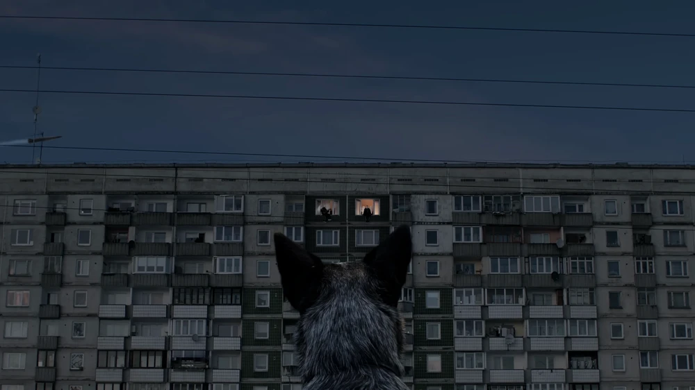 Still frame 49 from IC3PEAK — Gde Moy Dom? (2025) directed by Anastasia Kreslina, Nikolay Kostylev