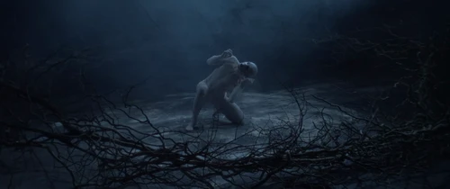 Still frame 19 from IGORRR - DAEMONI (2025) directed by Grupa 13