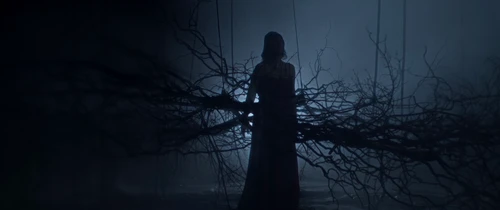 Still frame 26 from IGORRR - DAEMONI (2025) directed by Grupa 13