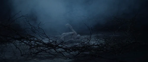 Still frame 3 from IGORRR - DAEMONI (2025) directed by Grupa 13