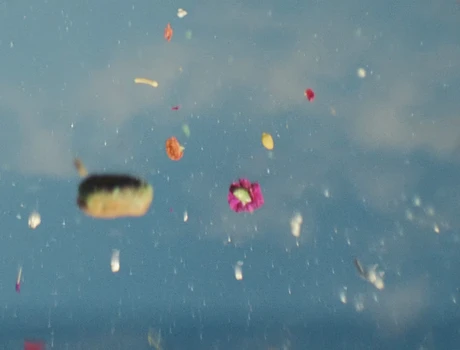 Still frame 19 from Jesse - Rainbow (2023) directed by Ramez Michel Silyan
