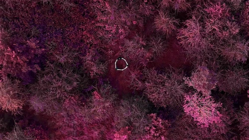 Still frame 9 from King Gizzard & The Lizard Wizard - Theia / The Silver Cord / Set (2023) directed by Jason Galea