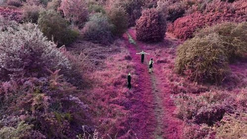 Still frame 76 from King Gizzard & The Lizard Wizard - Theia / The Silver Cord / Set (2023) directed by Jason Galea