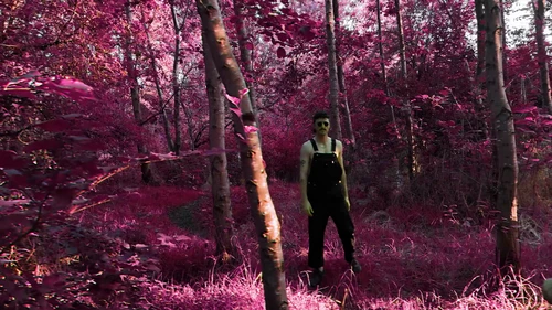 Still frame 12 from King Gizzard & The Lizard Wizard - Theia / The Silver Cord / Set (2023) directed by Jason Galea