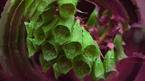 Still frame 17 from King Gizzard & The Lizard Wizard - Theia / The Silver Cord / Set (2023) directed by Jason Galea