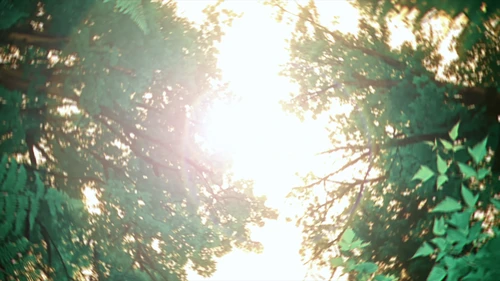 Still frame 19 from King Gizzard & The Lizard Wizard - Theia / The Silver Cord / Set (2023) directed by Jason Galea