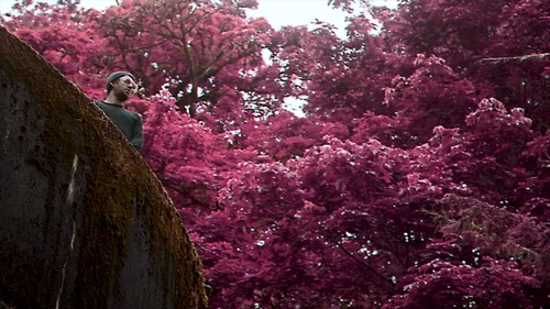 Still frame 32 from King Gizzard & The Lizard Wizard - Theia / The Silver Cord / Set (2023) directed by Jason Galea