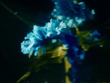 Klavdia Petrivna - Журба (2025) - Music Video Frames