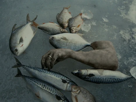 Still frame 22 from KUN - Colder (2026) directed by Folkert Verdoorn, Simon Becks