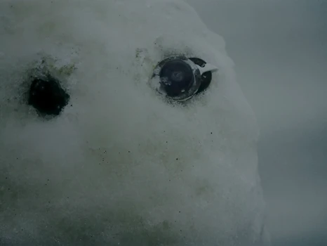 Still frame 26 from KUN - Colder (2026) directed by Folkert Verdoorn, Simon Becks