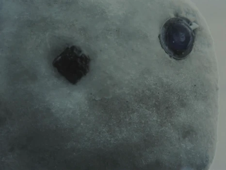 Still frame 36 from KUN - Colder (2026) directed by Folkert Verdoorn, Simon Becks