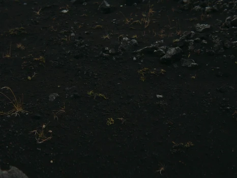 Still frame 39 from KUN - Colder (2026) directed by Folkert Verdoorn, Simon Becks