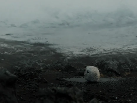 Still frame 40 from KUN - Colder (2026) directed by Folkert Verdoorn, Simon Becks