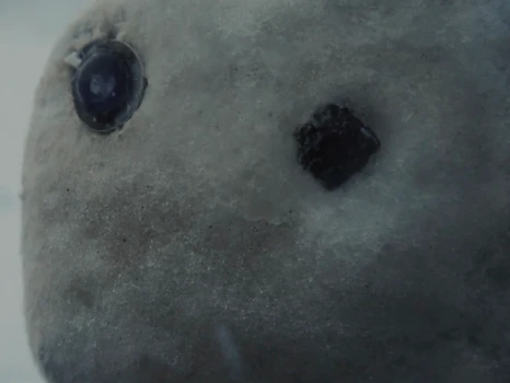 Still frame 41 from KUN - Colder (2026) directed by Folkert Verdoorn, Simon Becks