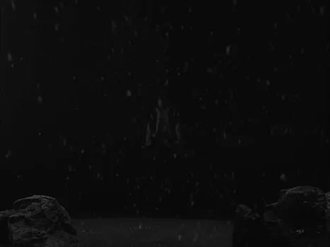 Still frame 9 from Little Simz - Flood (2025) directed by Salomon Ligthelm