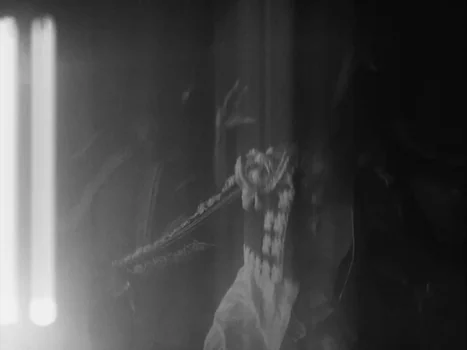 Still frame 82 from Little Simz - Flood (2025) directed by Salomon Ligthelm