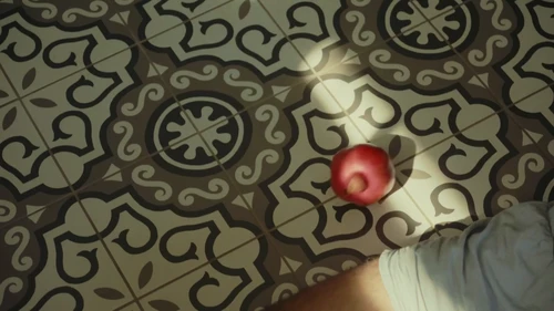 Still frame 9 from Liza Bibikova & MOISHE - NELYUBOV (2025) directed by Indy Hait, Sasha Tuz
