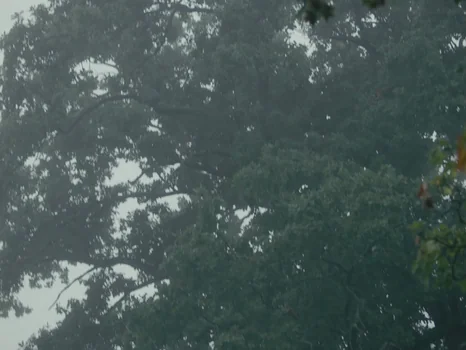 Still frame 15 from Maliq - Keine War Großartig//Fukk U (2023) directed by Tom Klimek