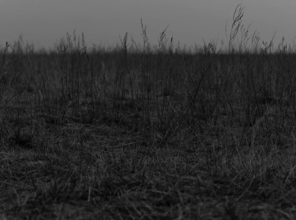 Still frame 7 from Maslo Chernogo Tmina - Nevedomy Mir (2020) directed by Aisultan Seitov