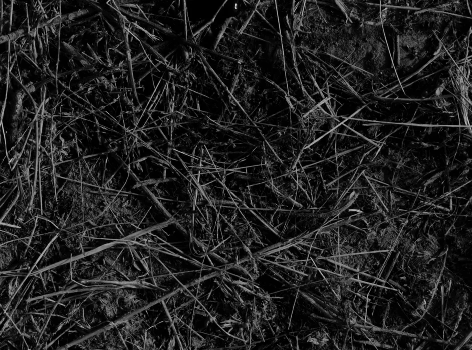 Still frame 9 from Maslo Chernogo Tmina - Nevedomy Mir (2020) directed by Aisultan Seitov