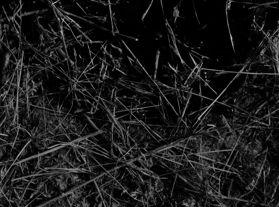 Still frame 10 from Maslo Chernogo Tmina - Nevedomy Mir (2020) directed by Aisultan Seitov