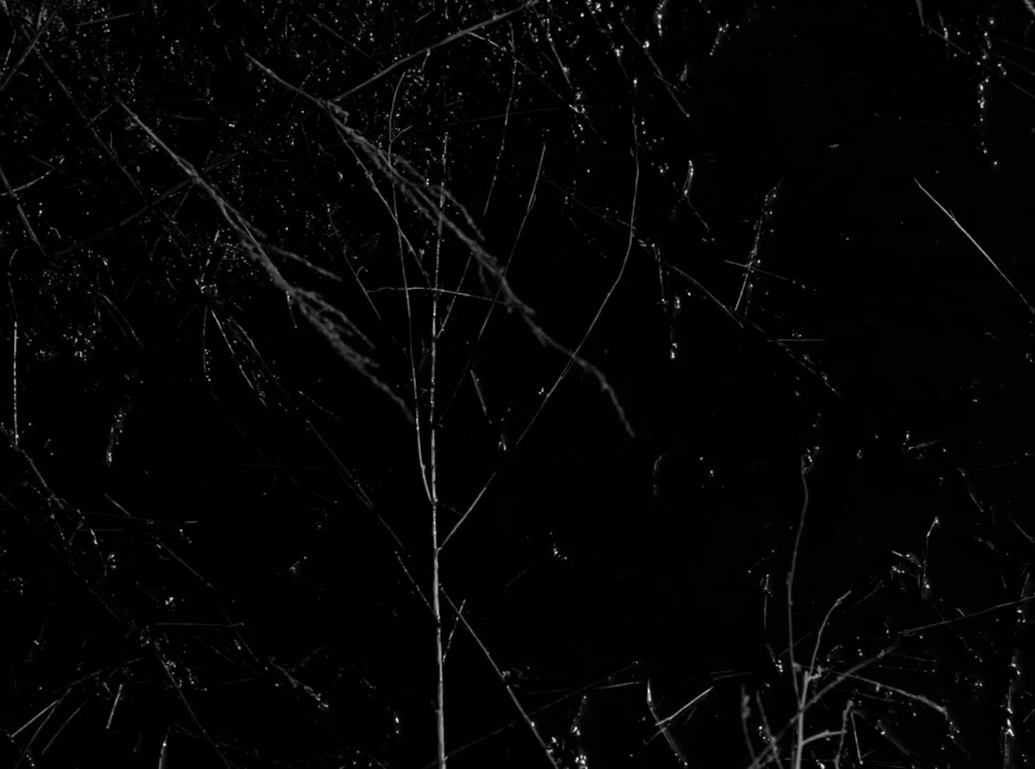 Still frame 26 from Maslo Chernogo Tmina - Nevedomy Mir (2020) directed by Aisultan Seitov