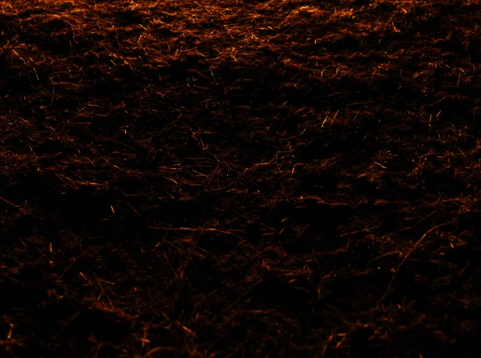 Still frame 40 from Maslo Chernogo Tmina - Nevedomy Mir (2020) directed by Aisultan Seitov