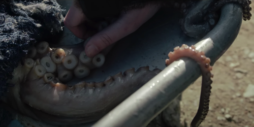 Still frame 29 from METZ - Blind Youth Industrial Park (2020) directed by Dylan Pharazyn