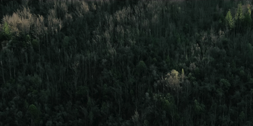 Still frame 3 from METZ - Blind Youth Industrial Park (2020) directed by Dylan Pharazyn