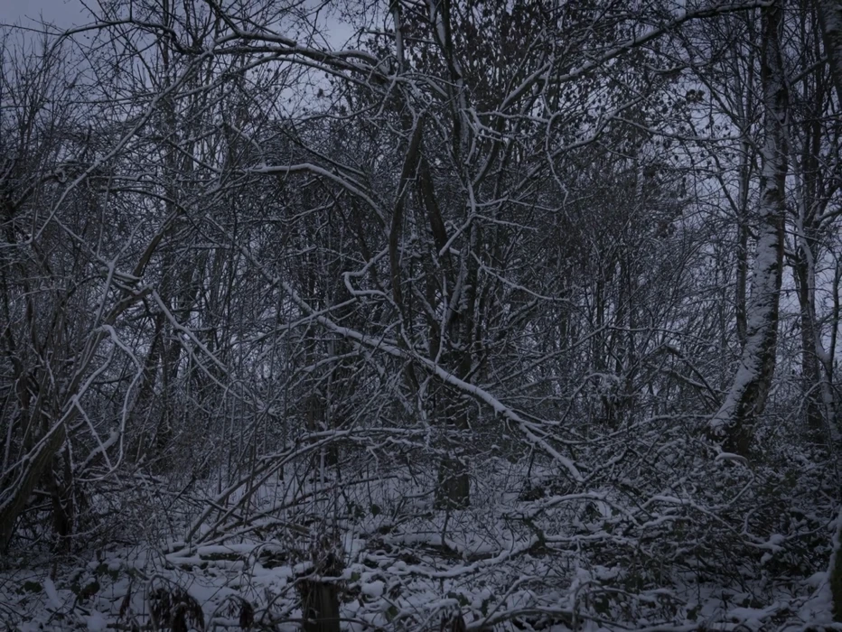 Still frame 15 from Mostly Nico - HEAT (2026) directed by Joachim Picon