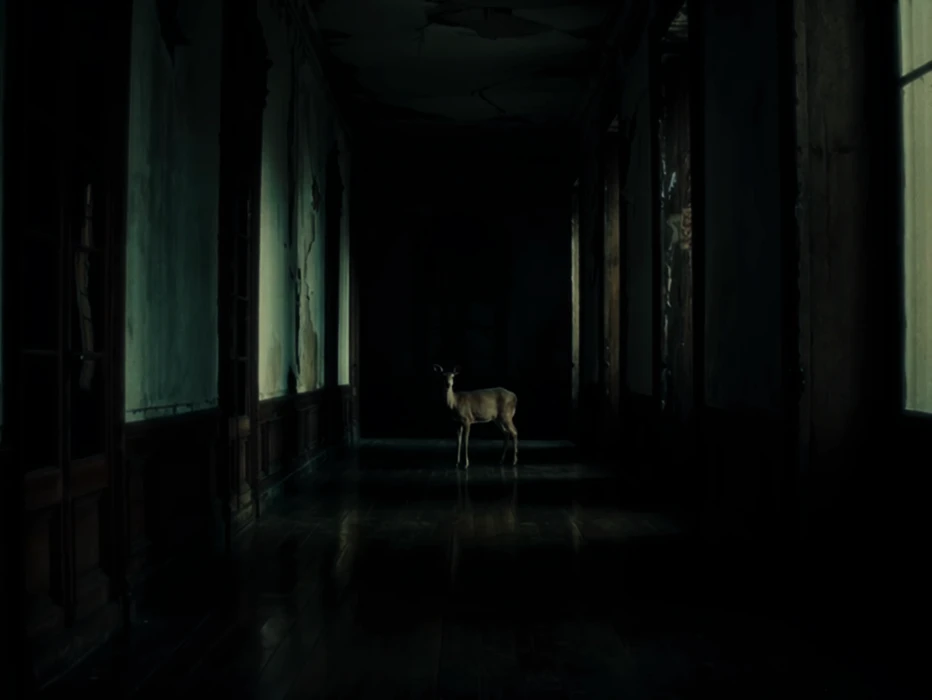 Still frame 50 from PRESIDENT - Angel Wings (2026) directed by B.K. Barone