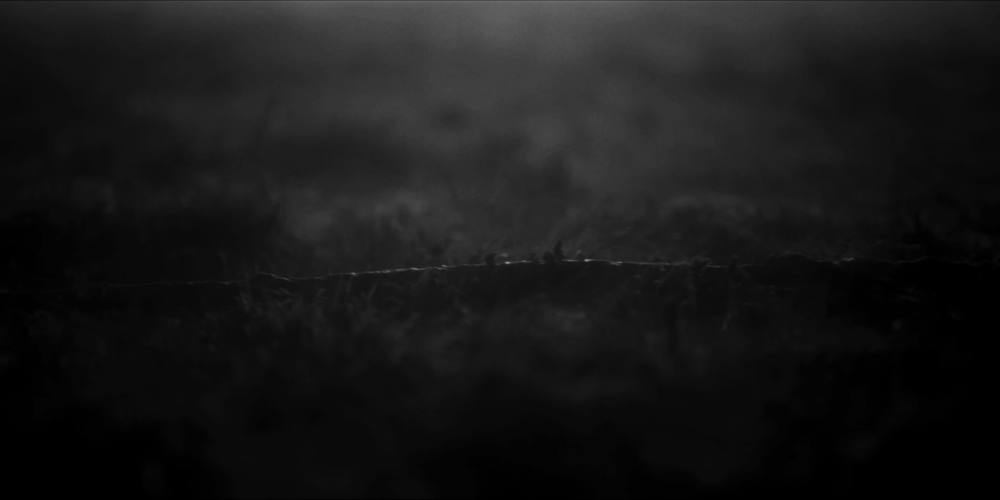 Still frame 21 from SOFIA ISELLA - Muse (2025) directed by SOFIA ISELLA and Jasper Pagan