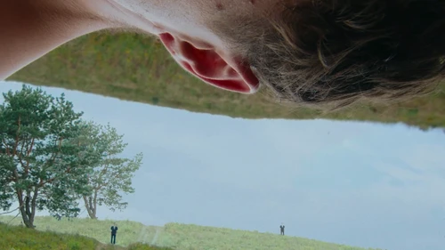 Still frame 9 from Sominaryst - Qualia (2025) directed by Sasha Tuz