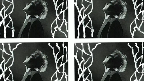 Still frame 17 from Sominaryst - Qualia (2025) directed by Sasha Tuz