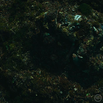 Still frame 1 from STASIK — Zvir (2026) directed by Anna Buryachkova